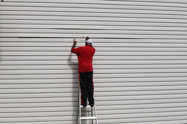 Best Fascia and Soffit Installation  in Buenaventura Lakes, FL